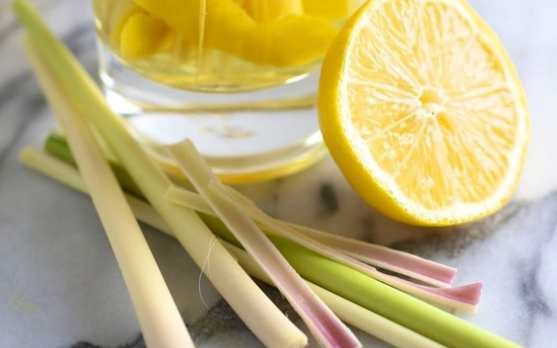 Cam sả tự nhiên là mùi hương trong lành được ưa chuộng cho mỗi không gian sống