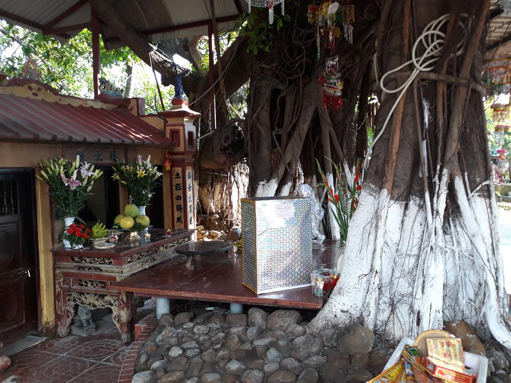 Dưới gốc đa có miếu thờ khắc chữ Hán Nôm