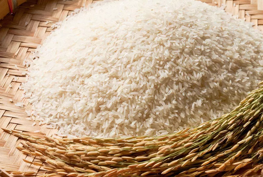 Gạo Séng Cù là giống lúa truyền thống được trồng tại các tỉnh miền núi phía Bắc