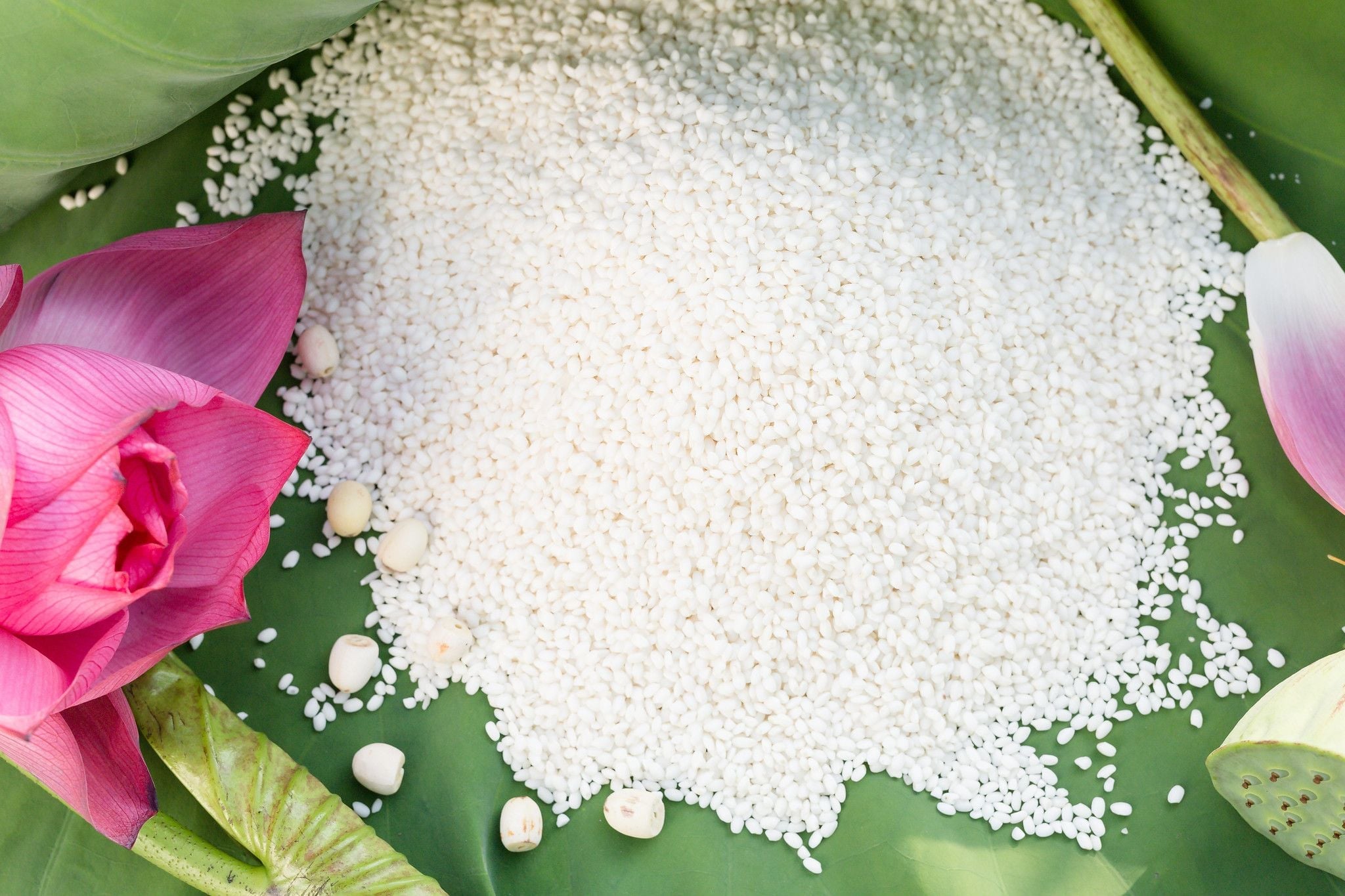 Gạo nếp chứa tỷ lệ amylopectin rất cao nên tạo độ dẻo, kết dính