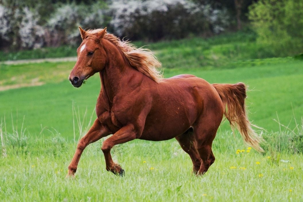 Người tuổi Ngọ được khuyên nên khiêm tốn hơn, không nên quá tự cao mà ảnh hưởng tới công việc đầu tuần