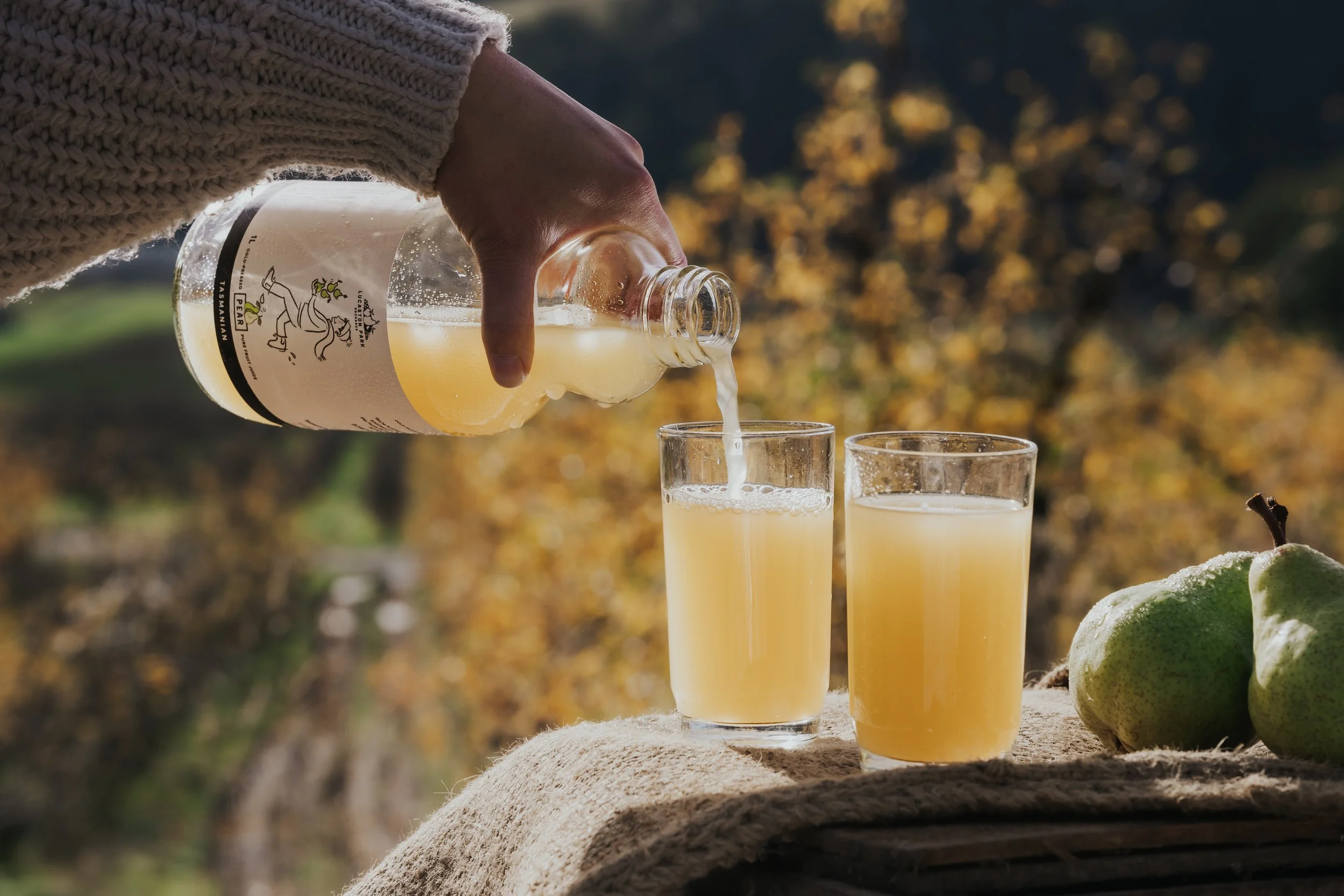 Nguyên liệu chính của nước lê đóng chai là dịch chiết từ quả lê