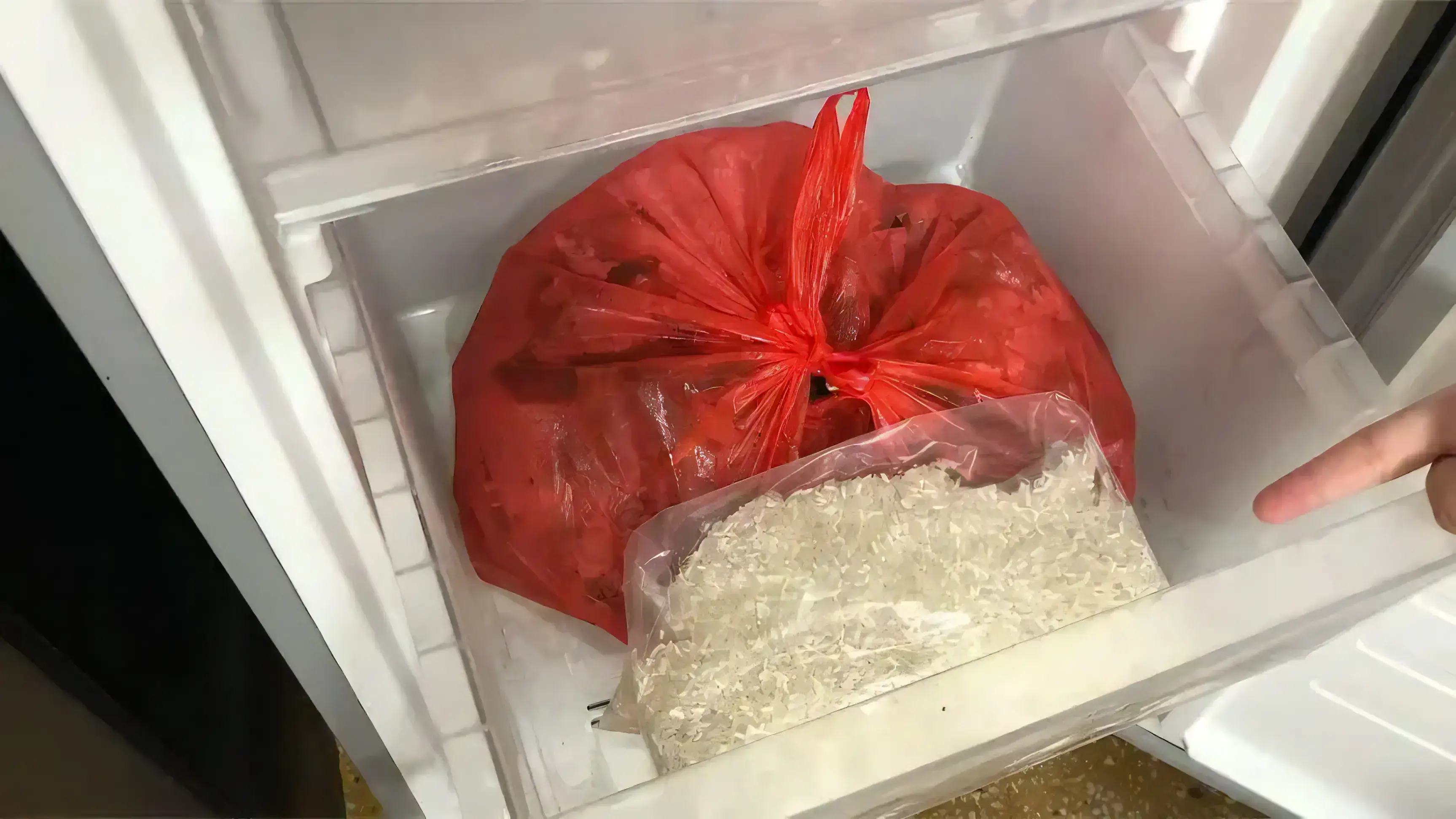 Bảo quản gạo trong tủ lạnh có thể giúp hạn chế mọt