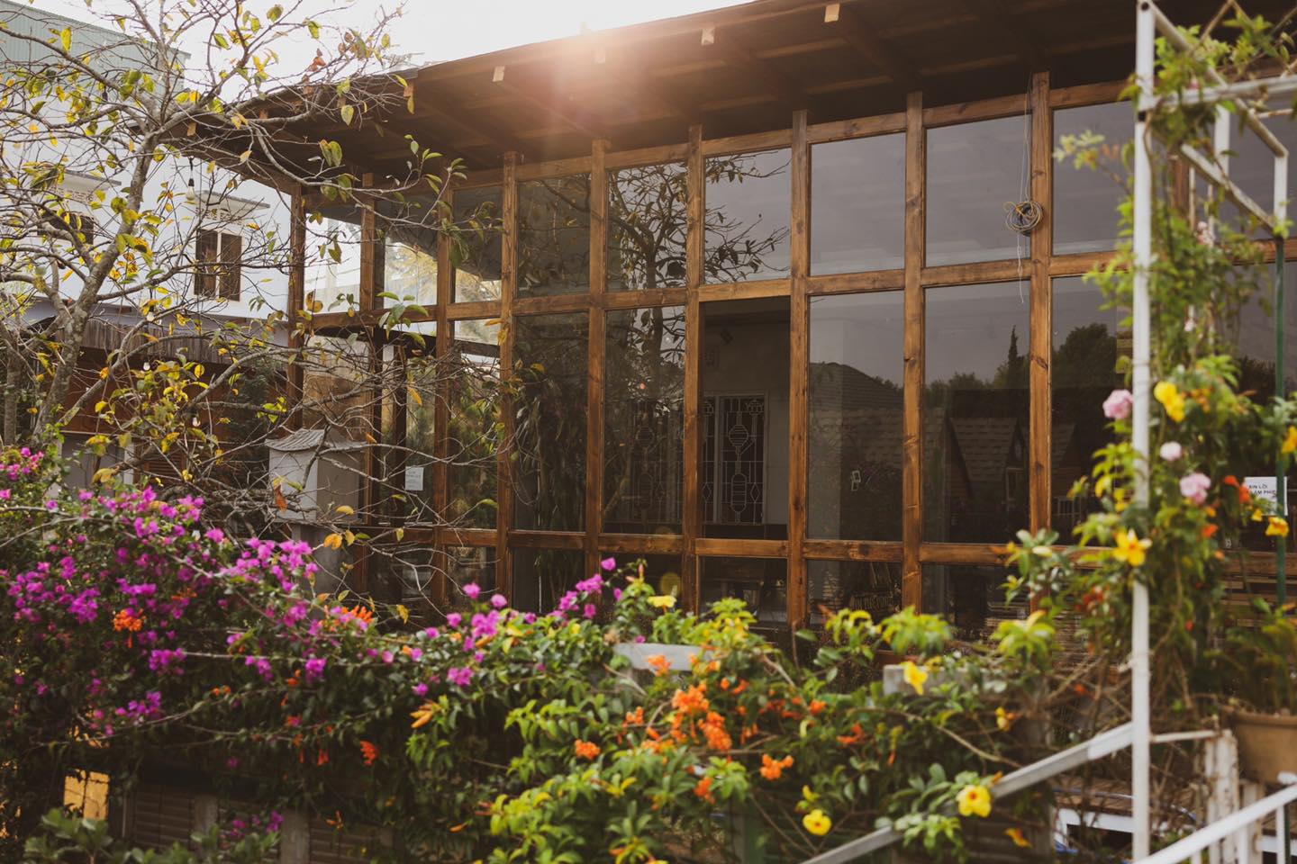 In The Pines Homestay yên tĩnh và thoáng đãng