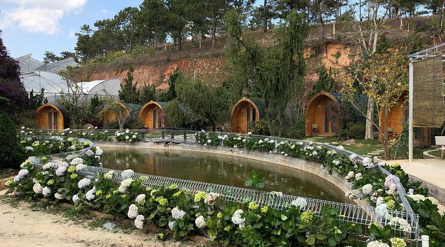 Berry Valley Homestay có những khu vườn xinh đẹp cho du khách trải nghiệm