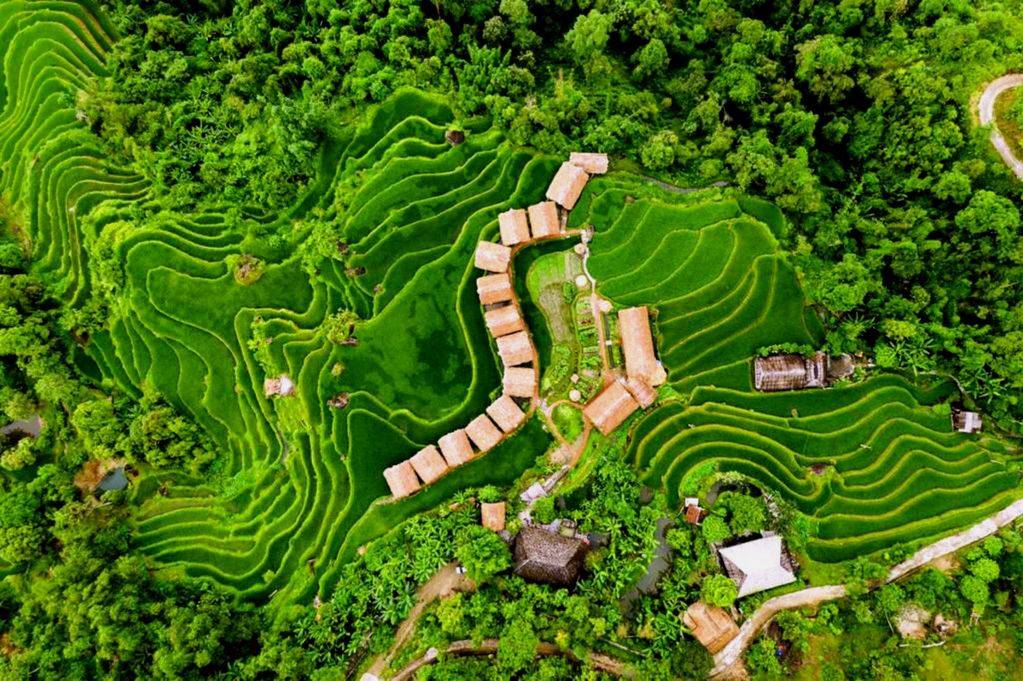 Hoàng Su Phì Lodge nằm giữa khu vực ruộng bậc thang và núi cao