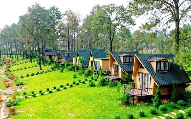 Tùy vào ngân sách bạn có thể lựa chọn trải nghiệm lưu trú Mộc Châu phù hợp