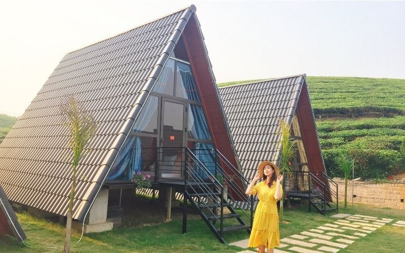 Những căn bungalow giữa thung lũng chè xanh tại Ba Đồi Chè