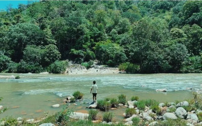 Vườn quốc gia Phước Bình với thiên nhiên nguyên sơ