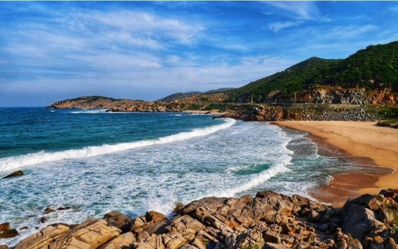 Hàng dừa xanh mát tại Bãi Rạng