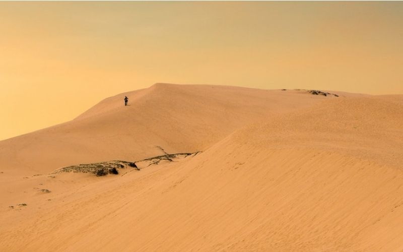 Cồn cát Quang Phú với khung cảnh như sa mạc