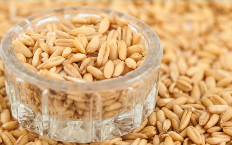 Yến mạch nguyên hạt giữ nguyên được giá trị dinh dưỡng