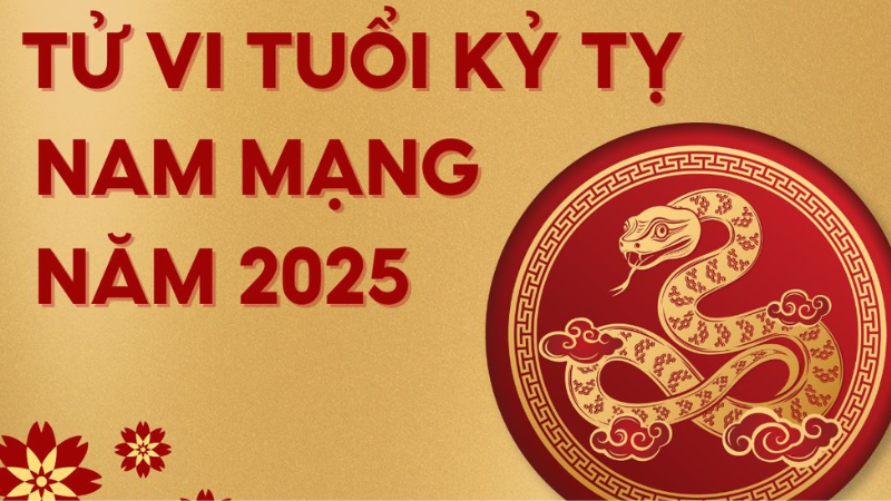 Tử Vi Kỷ Tỵ 2025