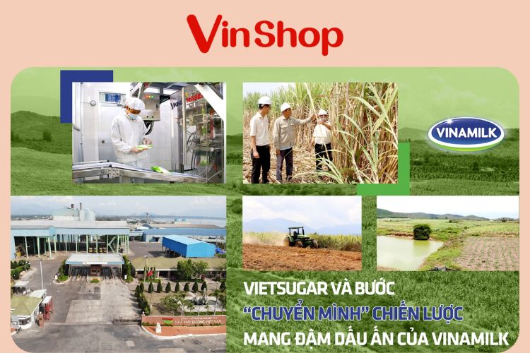 Mua đường cát trắng giá sỉ 2