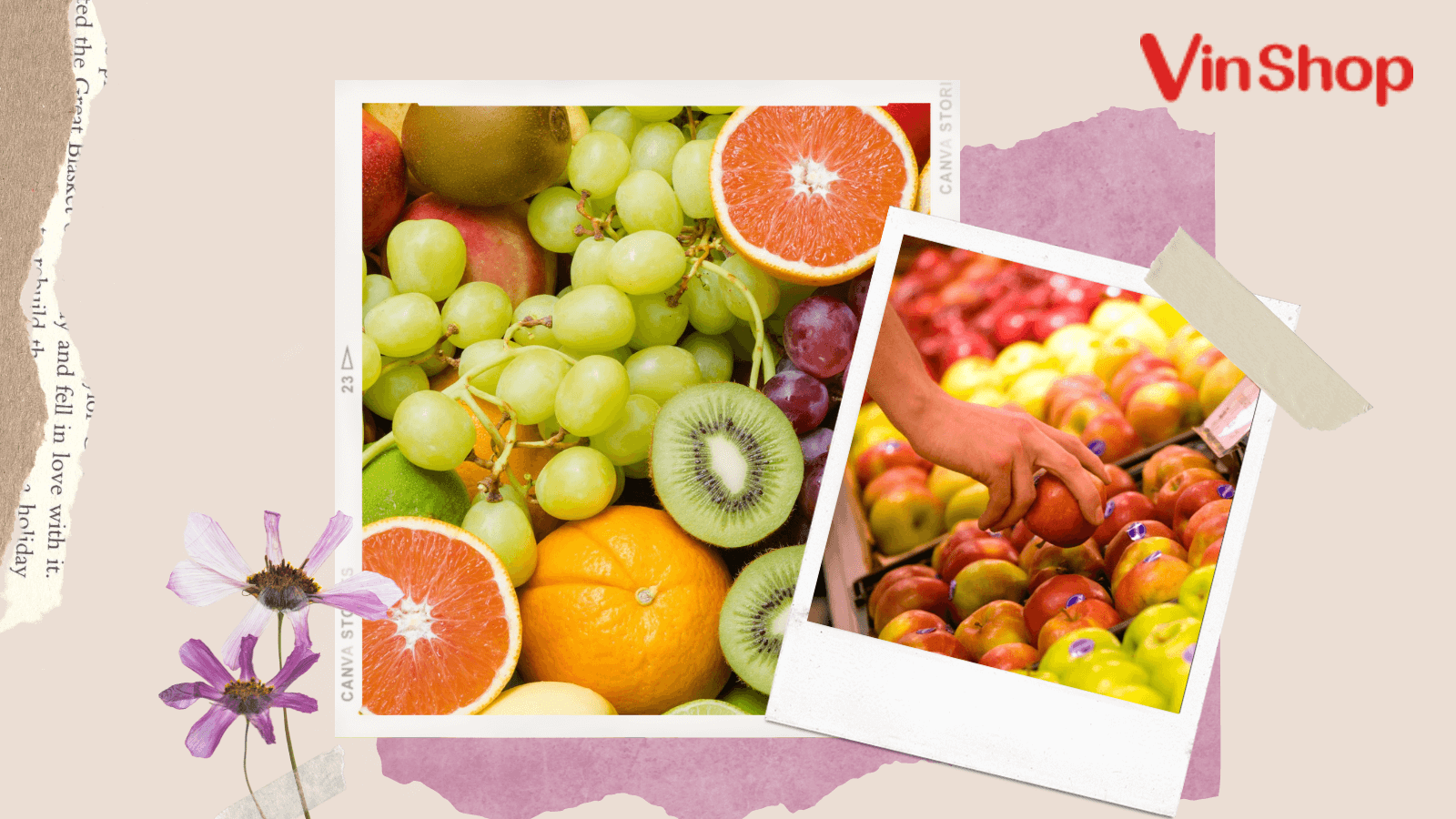 Trái cây sỉ: Với các loại trái cây tươi ngon từ nông trại đến bàn ăn của bạn, chắc chắn rằng bạn sẽ tìm thấy một lựa chọn tốt nhất trong thị trường sỉ của chúng tôi. Hãy xem qua các hình ảnh trái cây tươi ngon và lành mạnh này, bạn sẽ được trải nghiệm một cuộc sống lành mạnh với các loại trái cây tươi ngon.