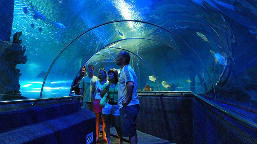 vinpearl-aquarium-thuy-cung-trong-vincom-times-city-co-bao-nhieu-phan-khu