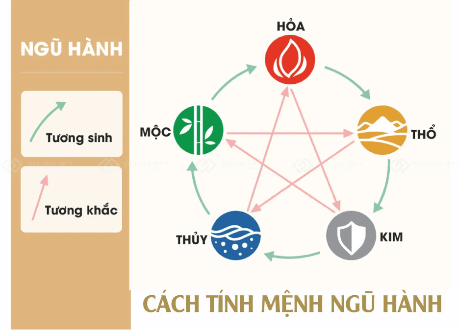 gia-chu-tuoi-mao-nen-de-cay-gi-trong-nha-de-vua-hop-phong-thuy-vua-giup-ha-nhiet-mua-he