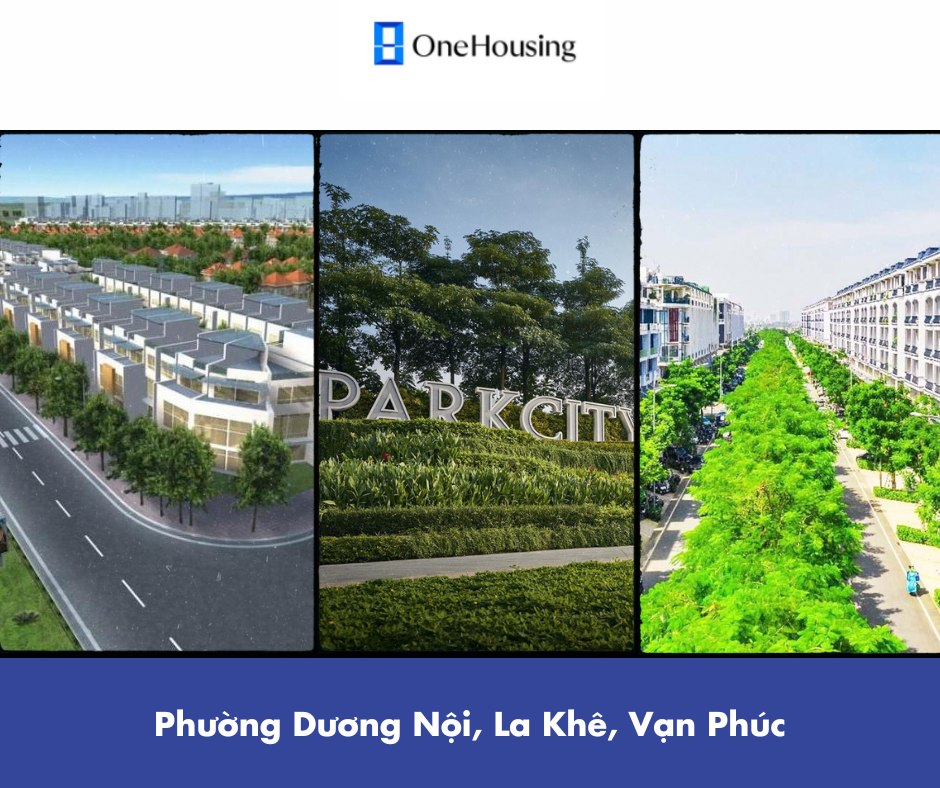 phuong-nao-dang-cho-thue-nhieu-biet-thu-nha-lien-ke-nhat-o-quan-ha-dong-onehousing-4